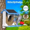 Smart Bird Feeder With Camera,Solar-Powered WiFi 4MP Live Camera,AI Identify Bird Species Auto Capture Garden Bird Watching&Motion Detection,Ideal Gif